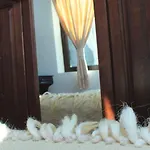 Topalovi
