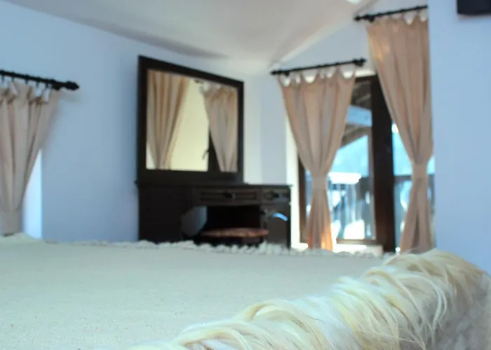 Guest house Topalovi