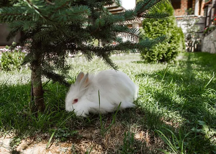 Guest house Topalovi